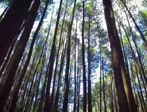 湖北宣传视频